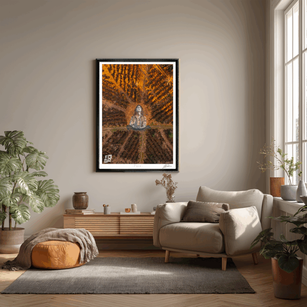 Paix – Image 6