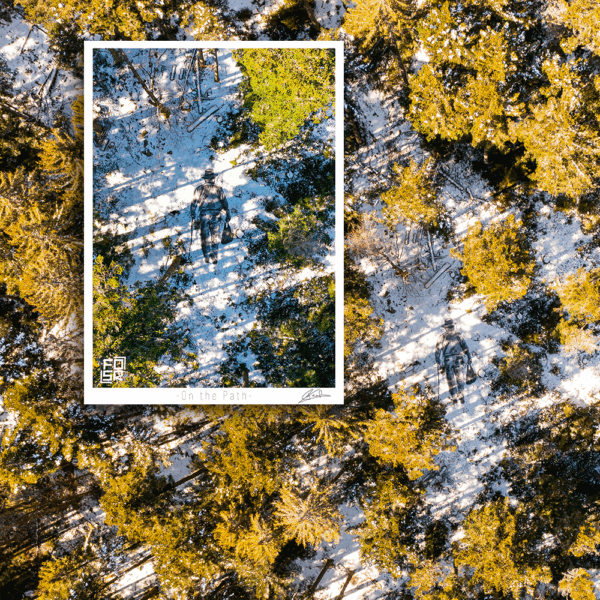 Œuvre "On the Path" de FOSR – création contemporaine de land art, vue artistique aérienne.