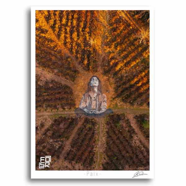 Paix – Image 2