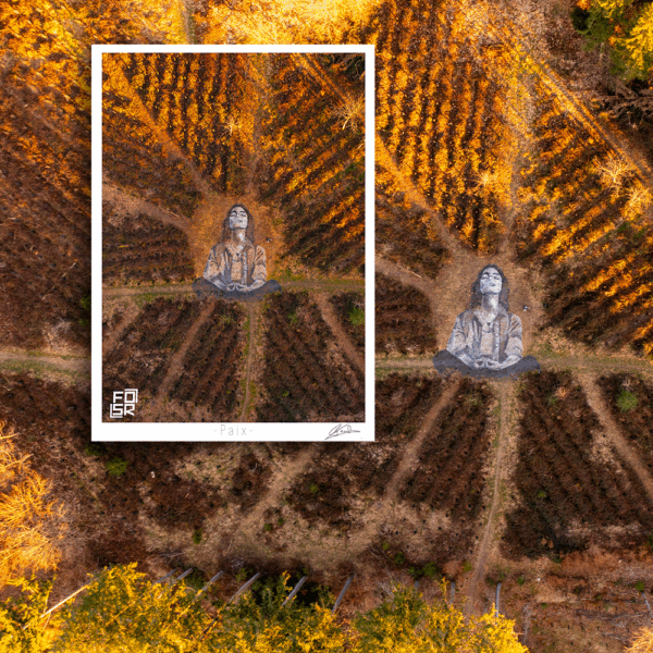 Paix – Image 3